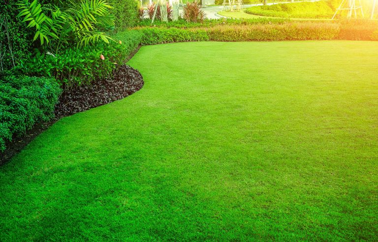 lawn care service